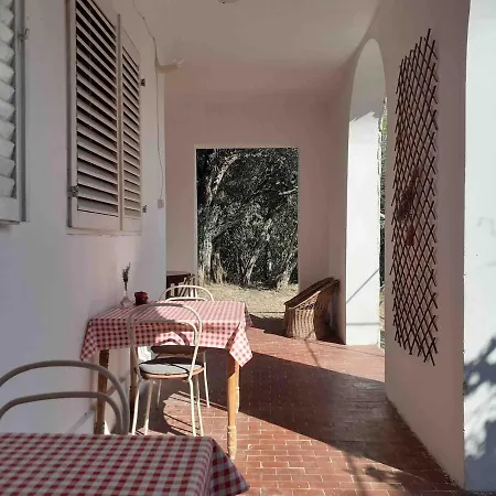 Appartamento In Tisno, Near The Bridge